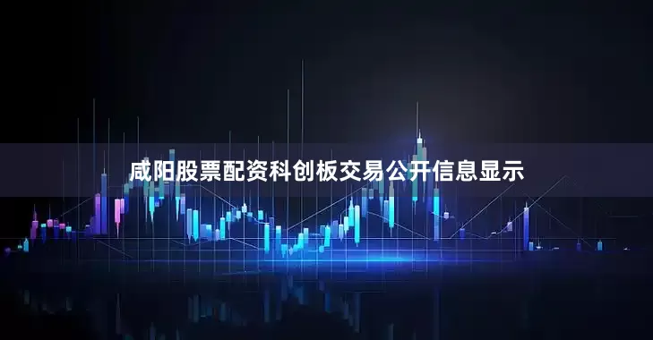 咸阳股票配资科创板交易公开信息显示