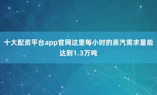 十大配资平台app官网这里每小时的蒸汽需求量能达到1.3万吨