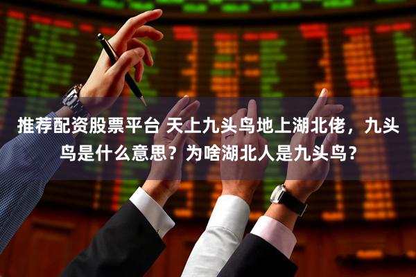 推荐配资股票平台 天上九头鸟地上湖北佬，九头鸟是什么意思？为啥湖北人是九头鸟？