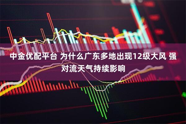 中金优配平台 为什么广东多地出现12级大风 强对流天气持续影响