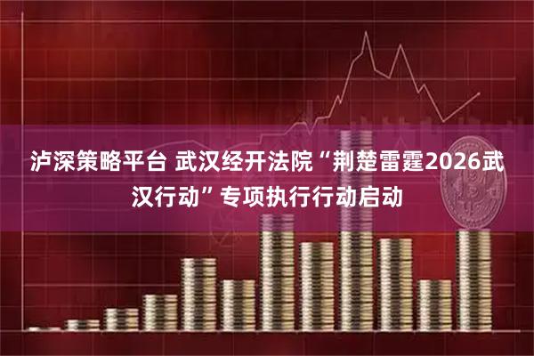 泸深策略平台 武汉经开法院“荆楚雷霆2026武汉行动”专项执行行动启动