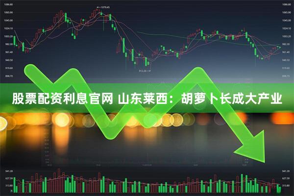 股票配资利息官网 山东莱西：胡萝卜长成大产业