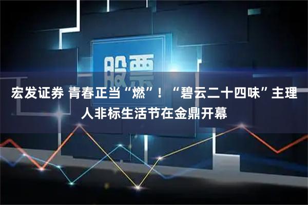 宏发证券 青春正当“燃”！“碧云二十四味”主理人非标生活节在金鼎开幕